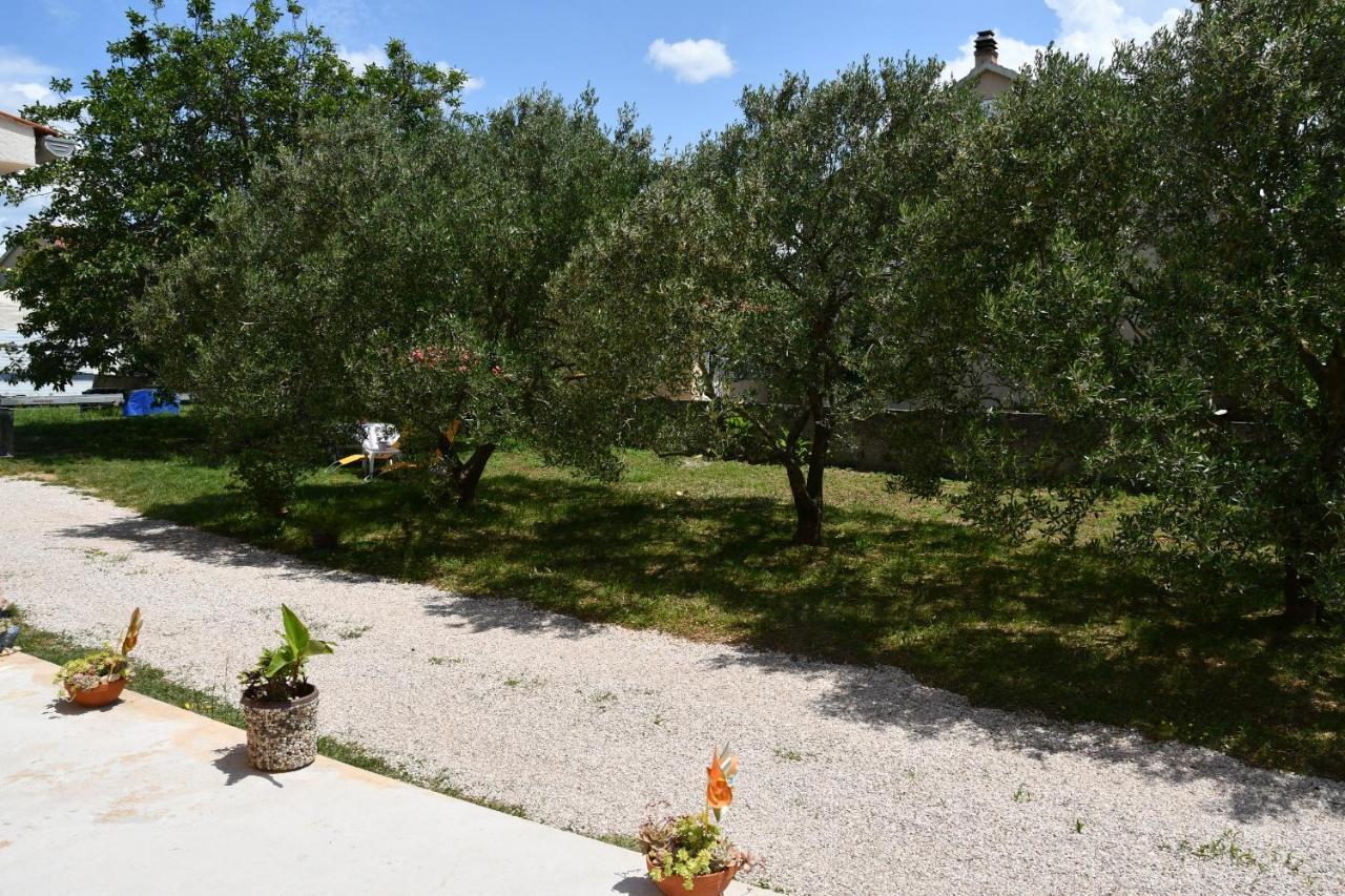 Apartmani Joja Biograd Na Moru Exterior photo