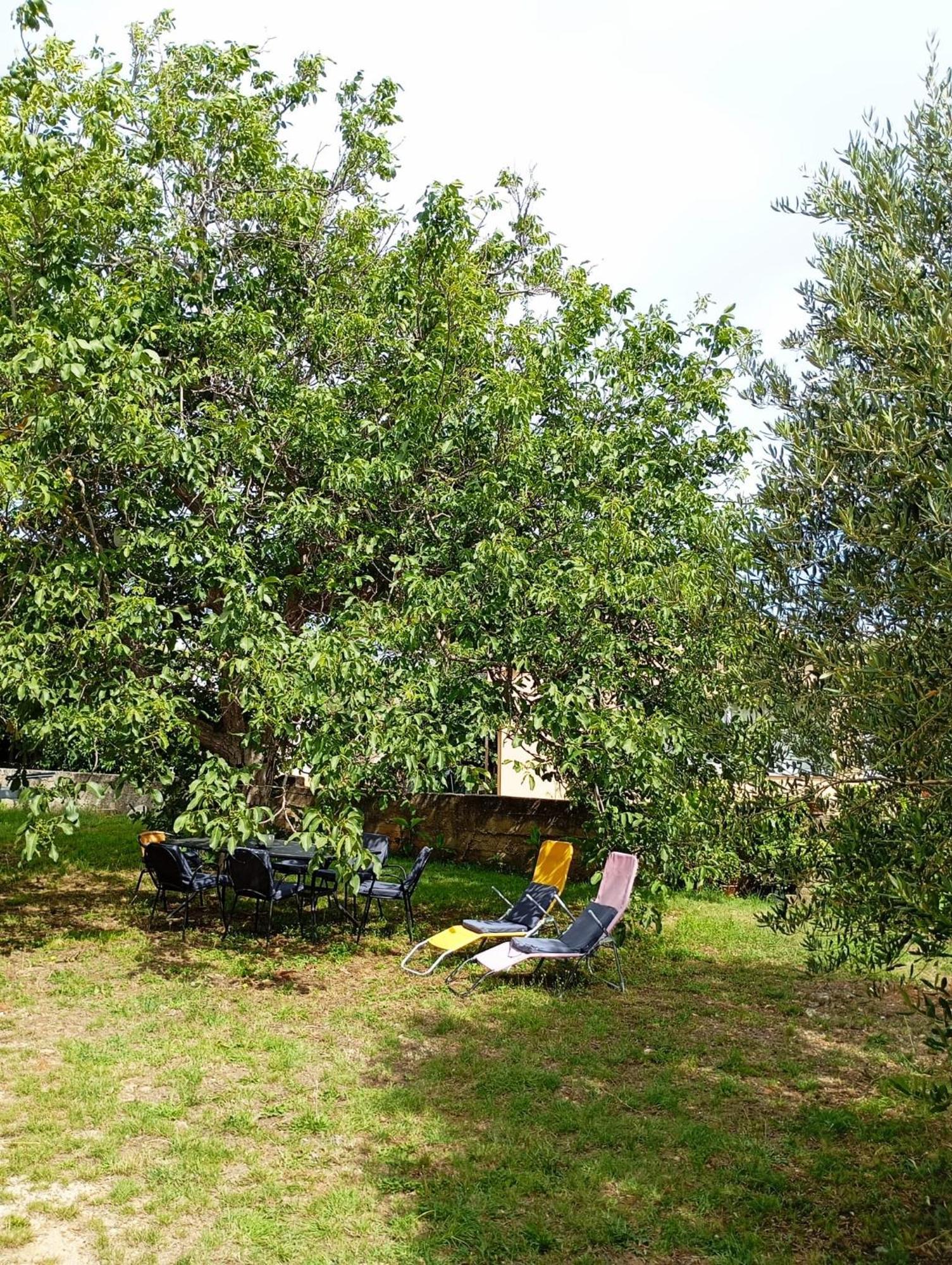 Apartmani Joja Biograd Na Moru Exterior photo